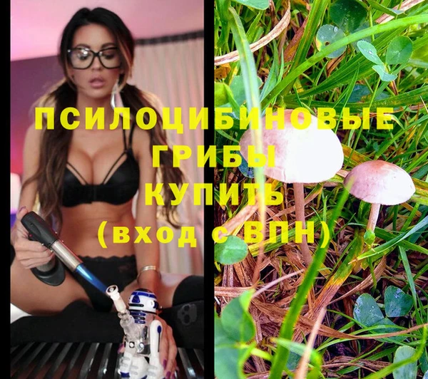 дмт Баксан