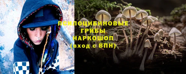 дмт Баксан