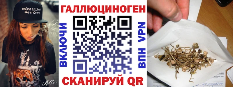 Псилоцибиновые грибы Psilocybe  Городец 